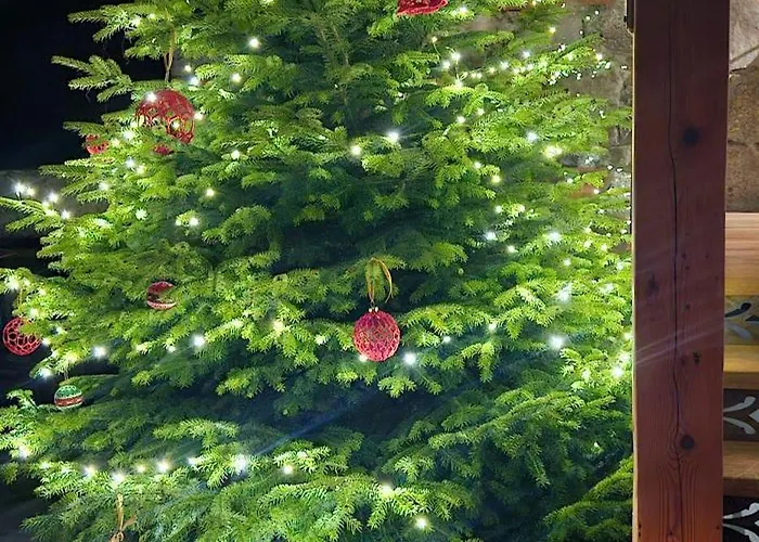 Dom Pod Lipa Tatil Evi Szklarska Poreba